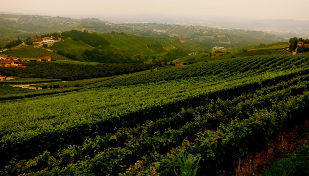 Piedmont-Villages-and-Vineyards